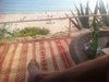 david_fcopado