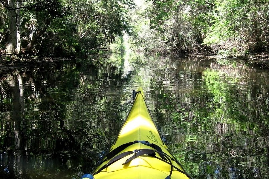 Florida Canoe image