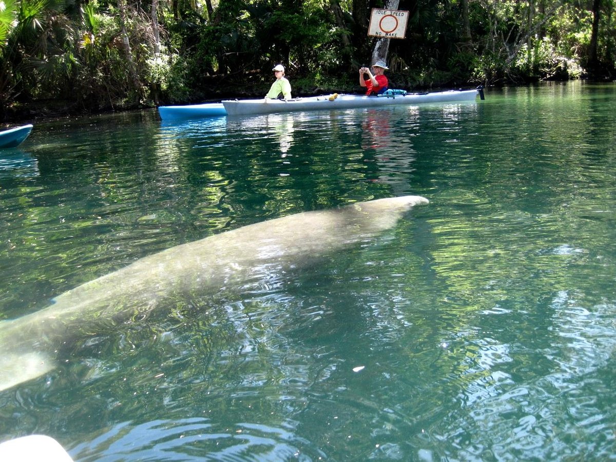 FLORIDA CANOE (Weeki Wachee) - All You Need to Know BEFORE You Go