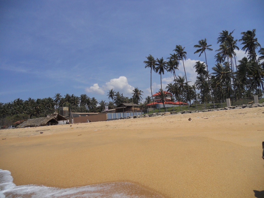 Hotel photo 8 of White Rose Beach Resort.