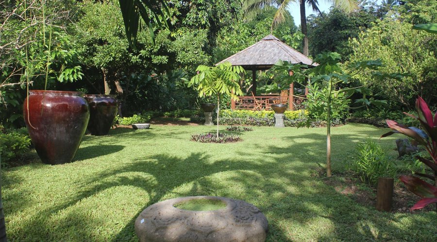Our garden to wander