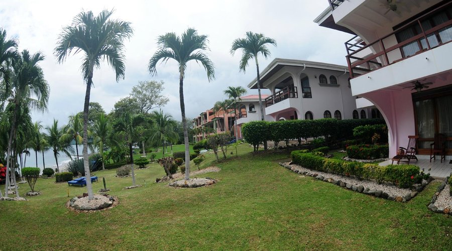 Our Luxury Condo Grounds