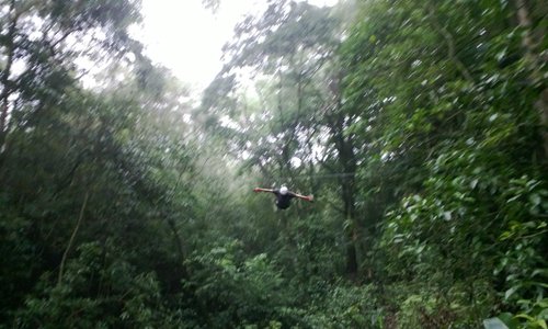 Looking upward on the Tarzan swing