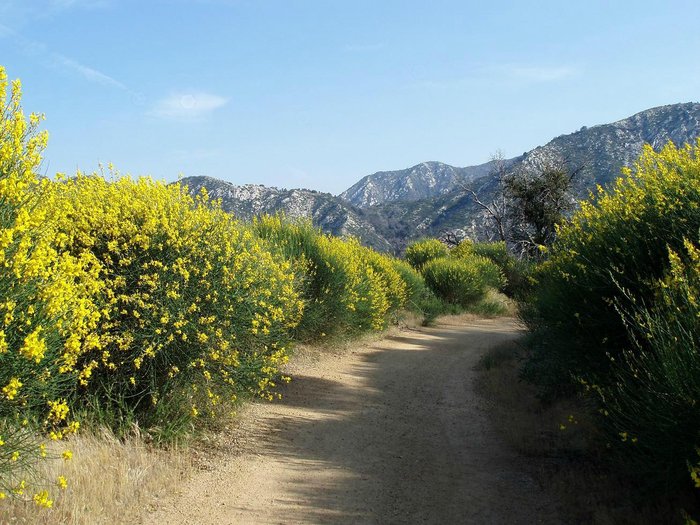 Altadena, CA 2023: Best Places to Visit - Tripadvisor