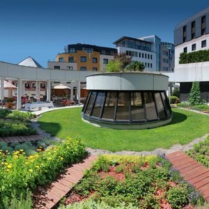 Summer Terrace
