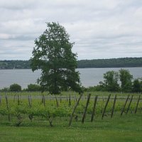 Ocean view on our vineyard tour
