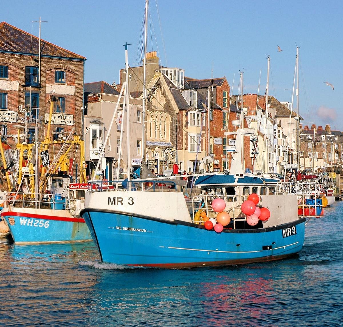 boat trips around weymouth