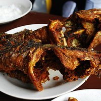 ikan keli