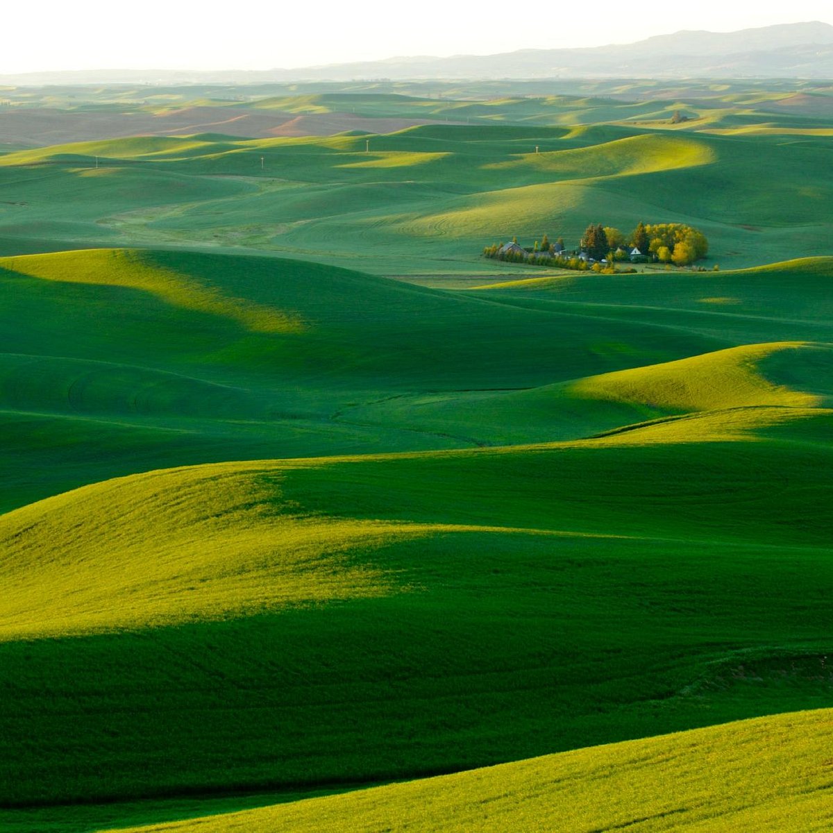 Palouse Tour (Colfax) - All You Need to Know BEFORE You Go