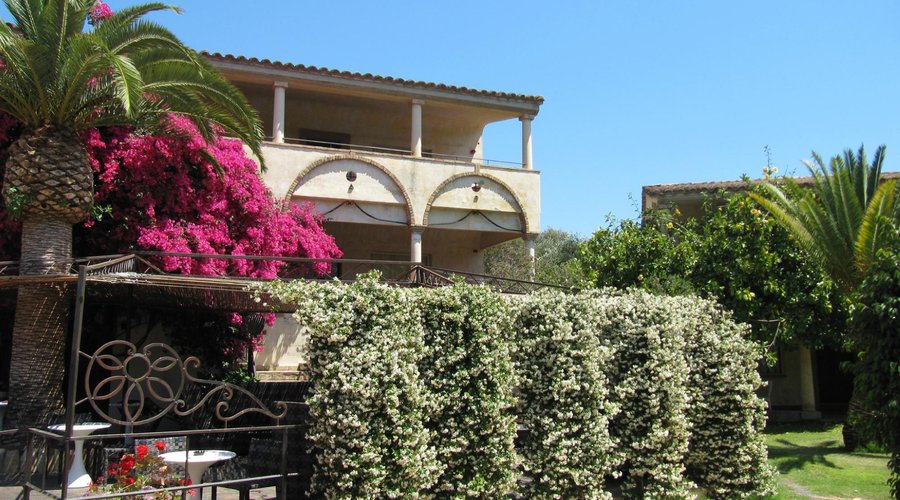 gelsomino bouganvillea giardino