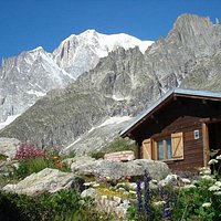 il giardino