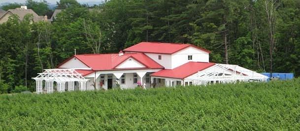 Kacaba Vineyards Winery image