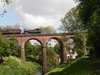 shropshire69