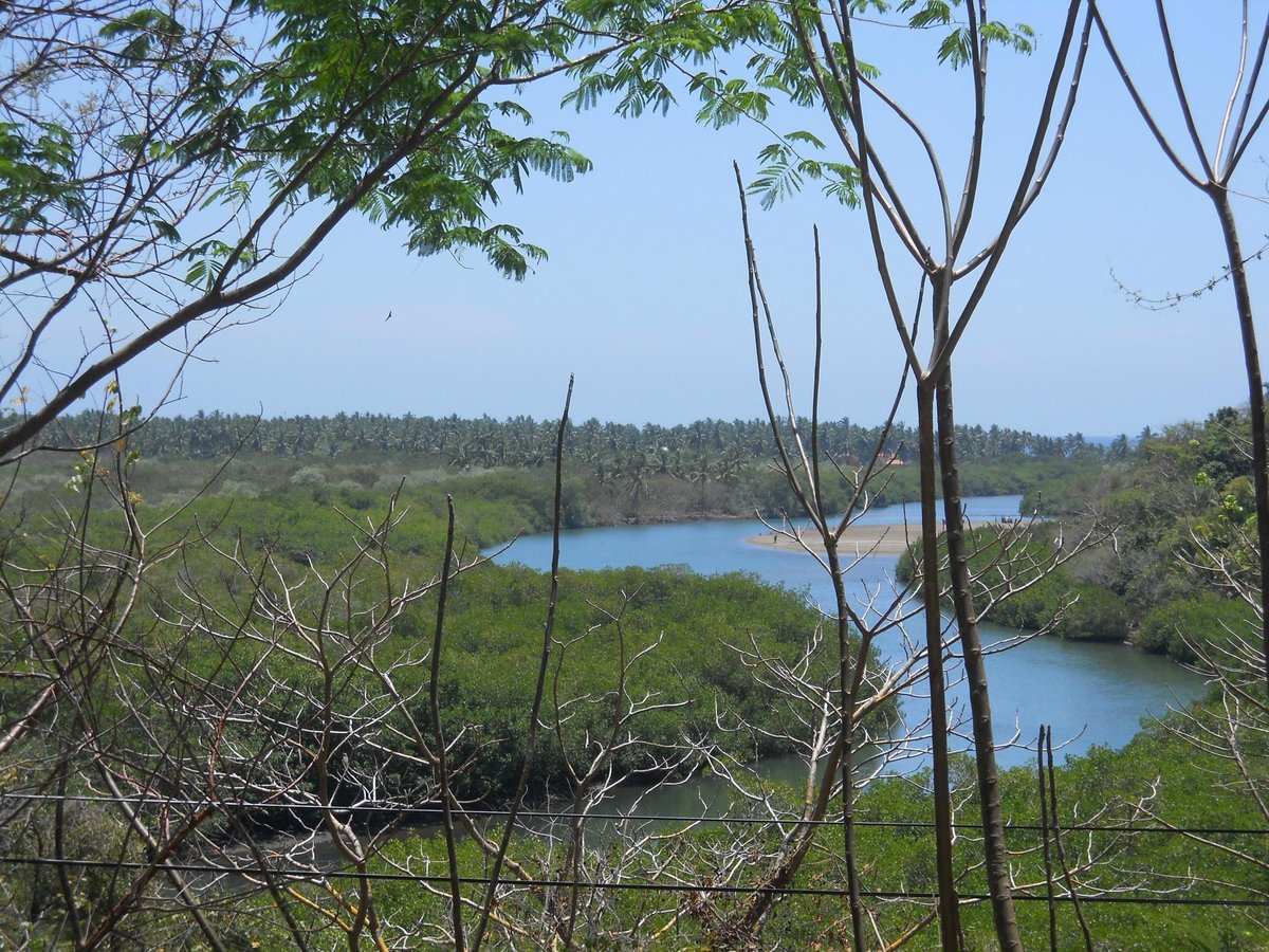 Playa Las Tortugas – Strand: Fotos und Bewertungen - Tripadvisor