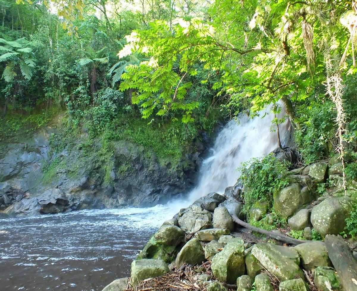 Cascada de Texolo (Xico) - Lo que se debe saber antes de viajar -  Tripadvisor