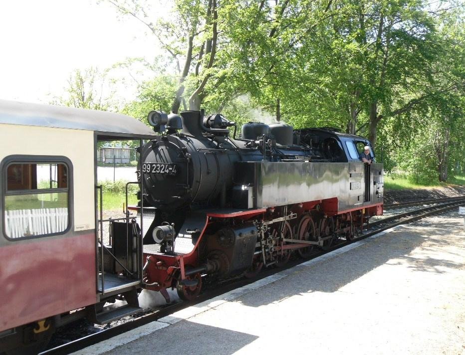 The Mollie Steam Train - All You Need to Know BEFORE You Go (with