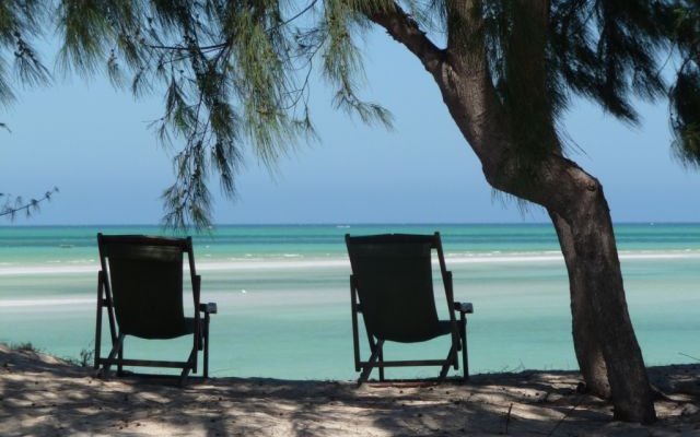 Relax under the shadow of a huge casuarinha tree