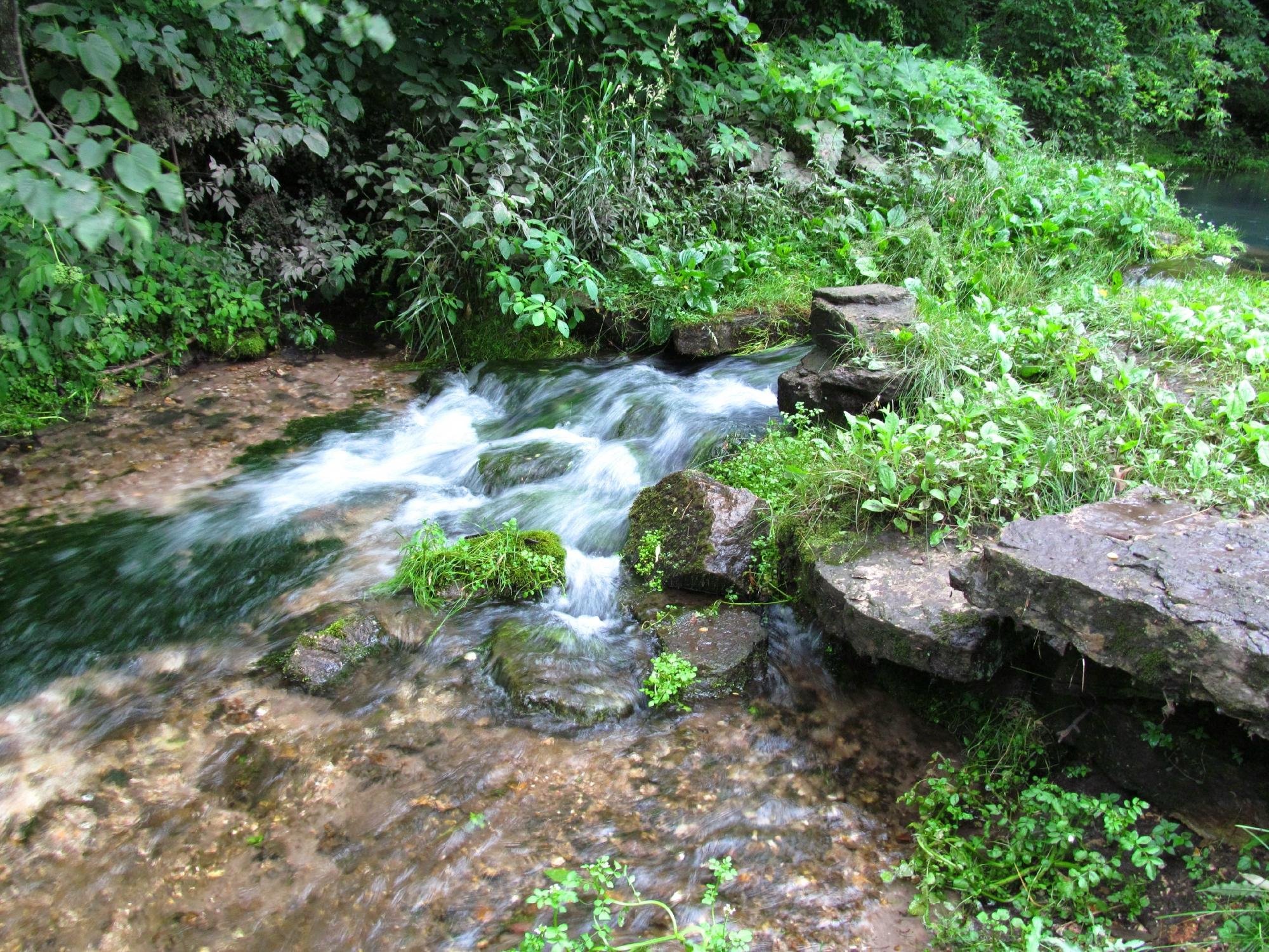 back bone state park