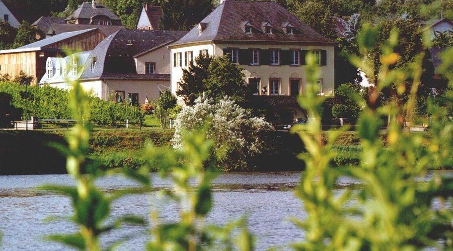 Moselansicht
