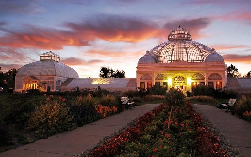 Gardens after dark