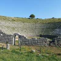 The Arena