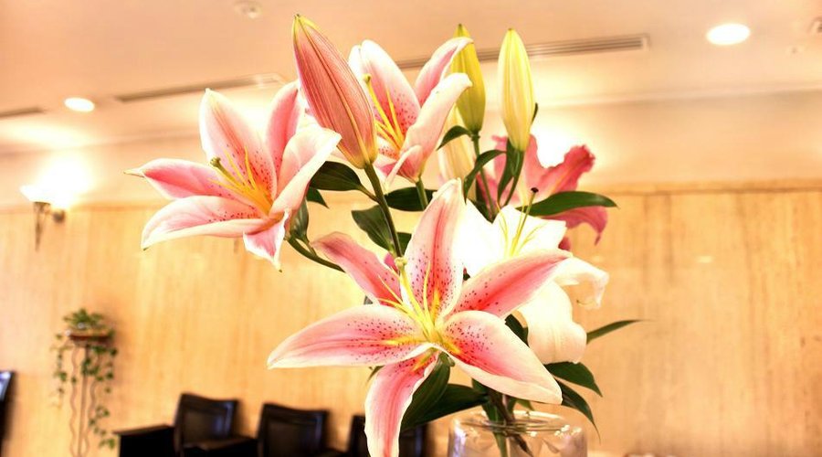 ロビーではお花がお出迎え致します。