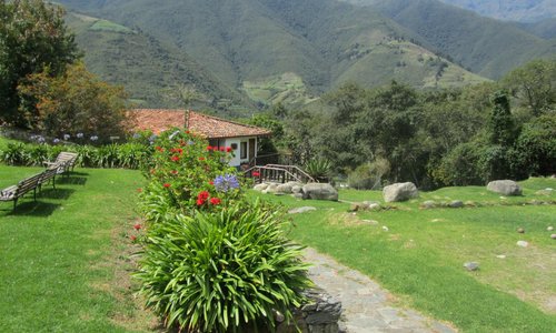 Jardin