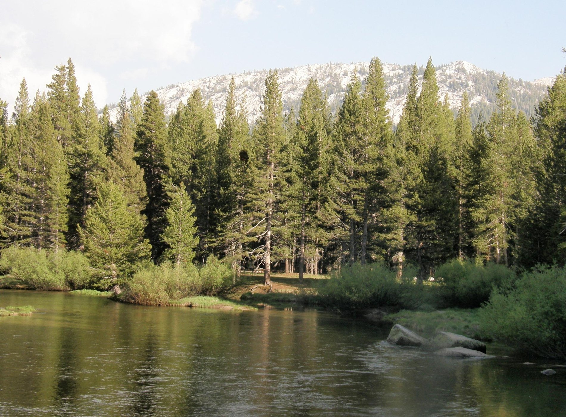 Tuolumne Meadows Campground by null