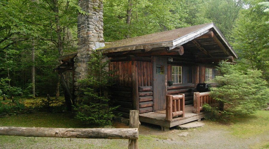 Cabin 5