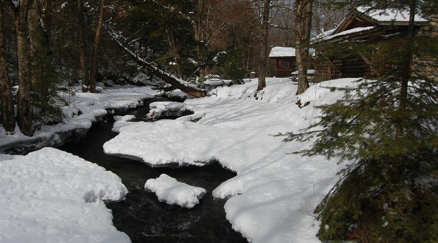 Salmon Hole Brook