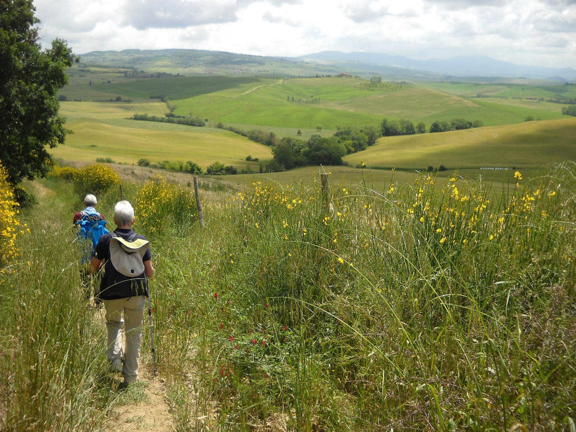 girasole italy walking tours