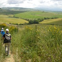 girasole italy walking tours