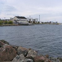 Looking out over the harbour