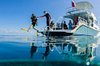 Blue Water Divers & Watersports, Bermuda