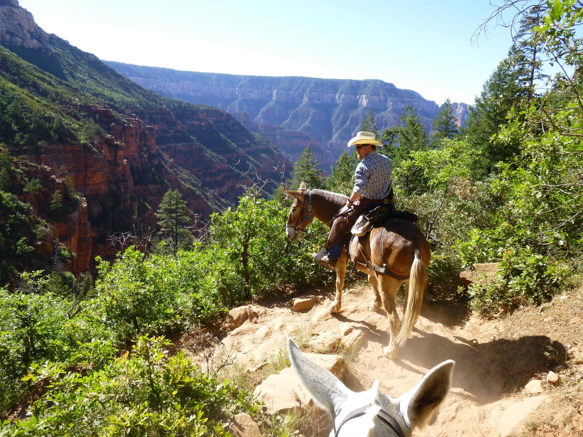 Canyon Trail Rides All You Need to Know BEFORE You Go 2024