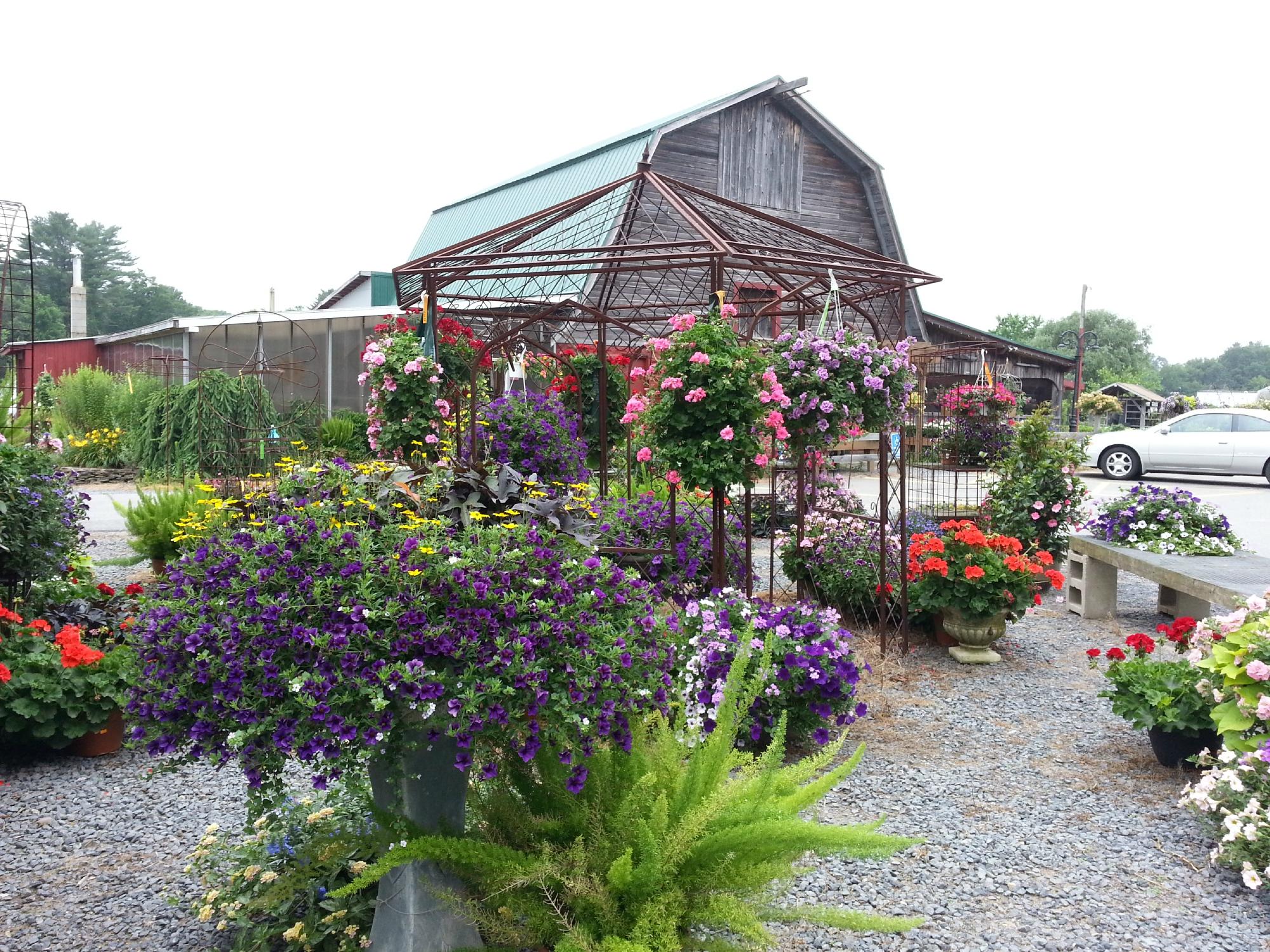 Bryantville MA All You Need To Know Before You Go 2024 Tripadvisor   C N Smith Farm 