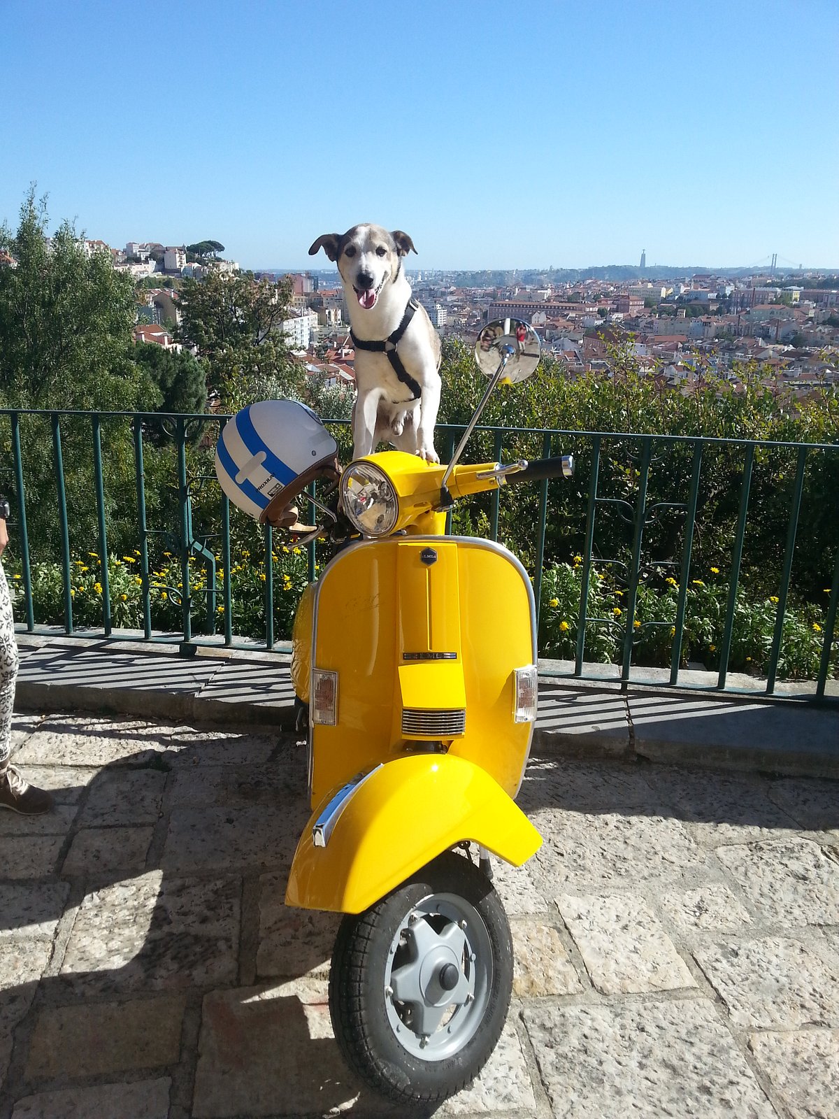 Lisbon Vintage Scooter (Lissabon, Portugal) - anmeldelser -