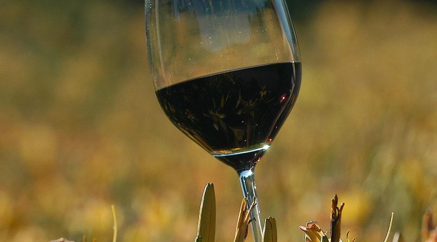 Vinhos com Denominação de Origem Controlada