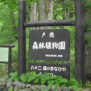 21年 長野市で絶対外さないおすすめ観光スポットトップ10 定番から穴場まで トリップアドバイザー