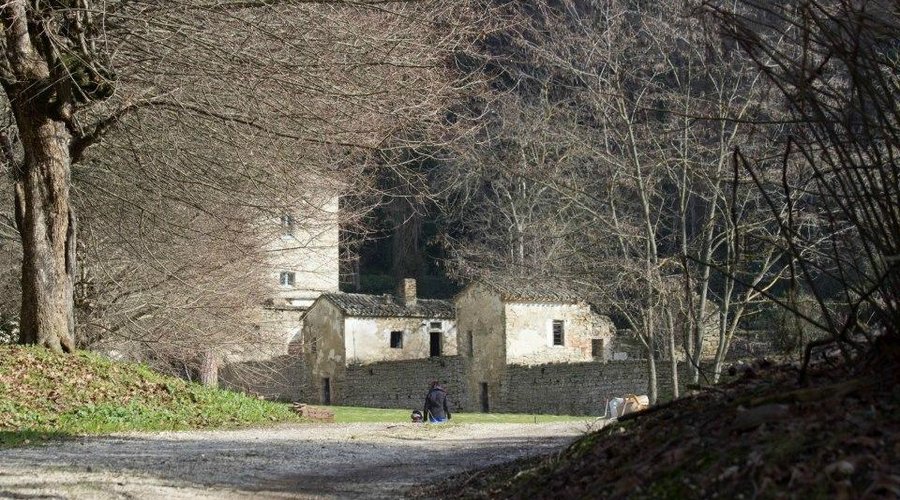 vialetto