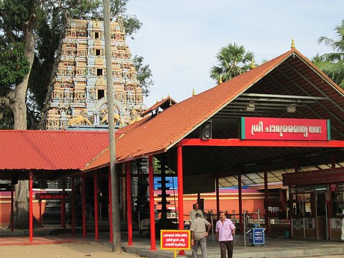 tourism village trivandrum