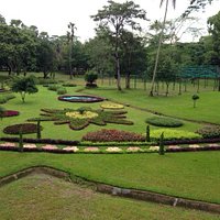 Aerial view of Park