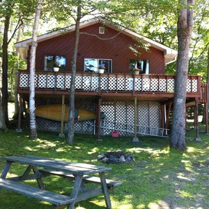Woodland Cottage