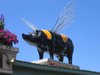 Flyingpig