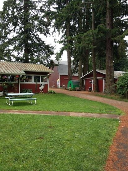 Lattin's Country Cider Mill & Farm image