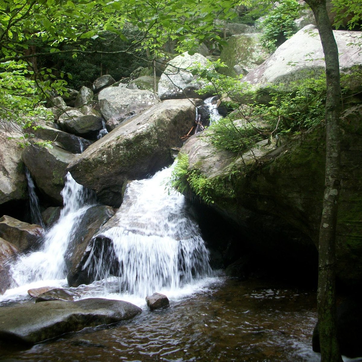 Friends of the South Mountains State Park, Inc.