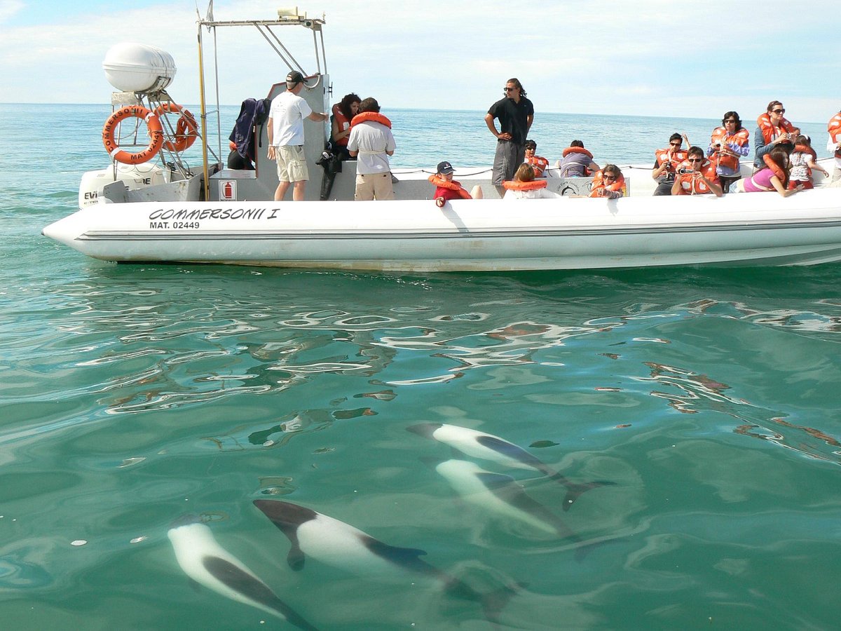 inmensamente serenas - Picture of Estacion Maritima Commersonii, Puerto  Rawson - Tripadvisor