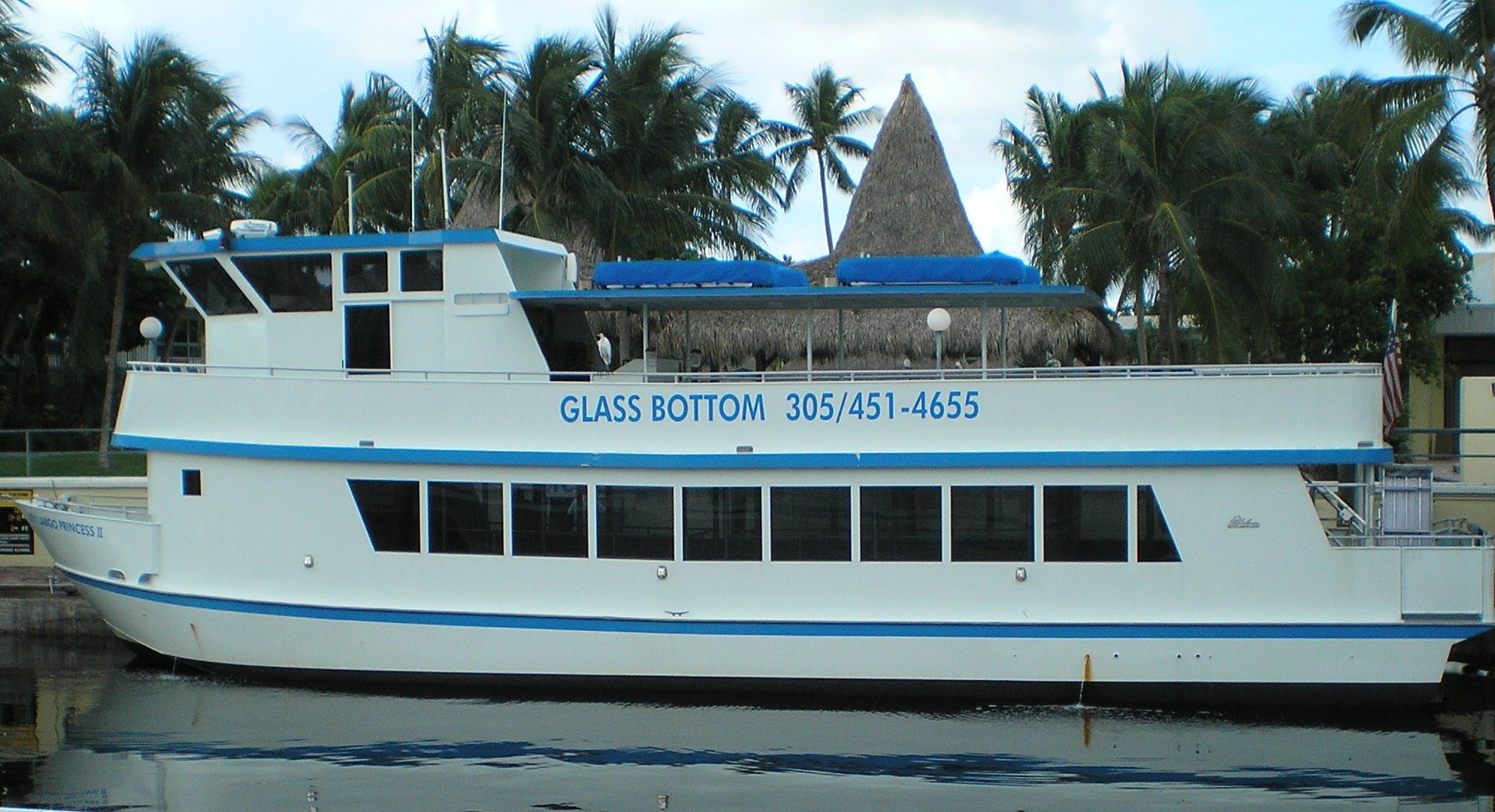 Glass Bottom Boat Tours In Key Largo KEY LARGO PRINCESS GLASS BOTTOM BOAT: Tutto quello che c'è da sapere