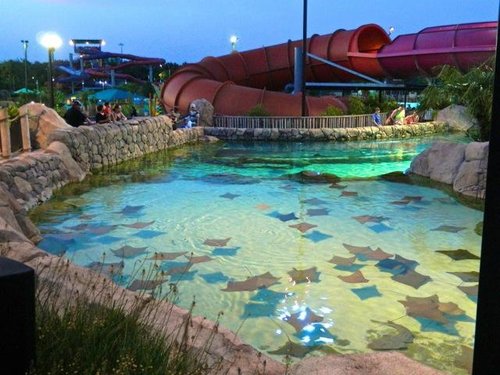 THE 5 BEST Water & Amusement Parks in San Antonio (2023)