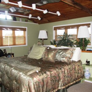 Great bed!